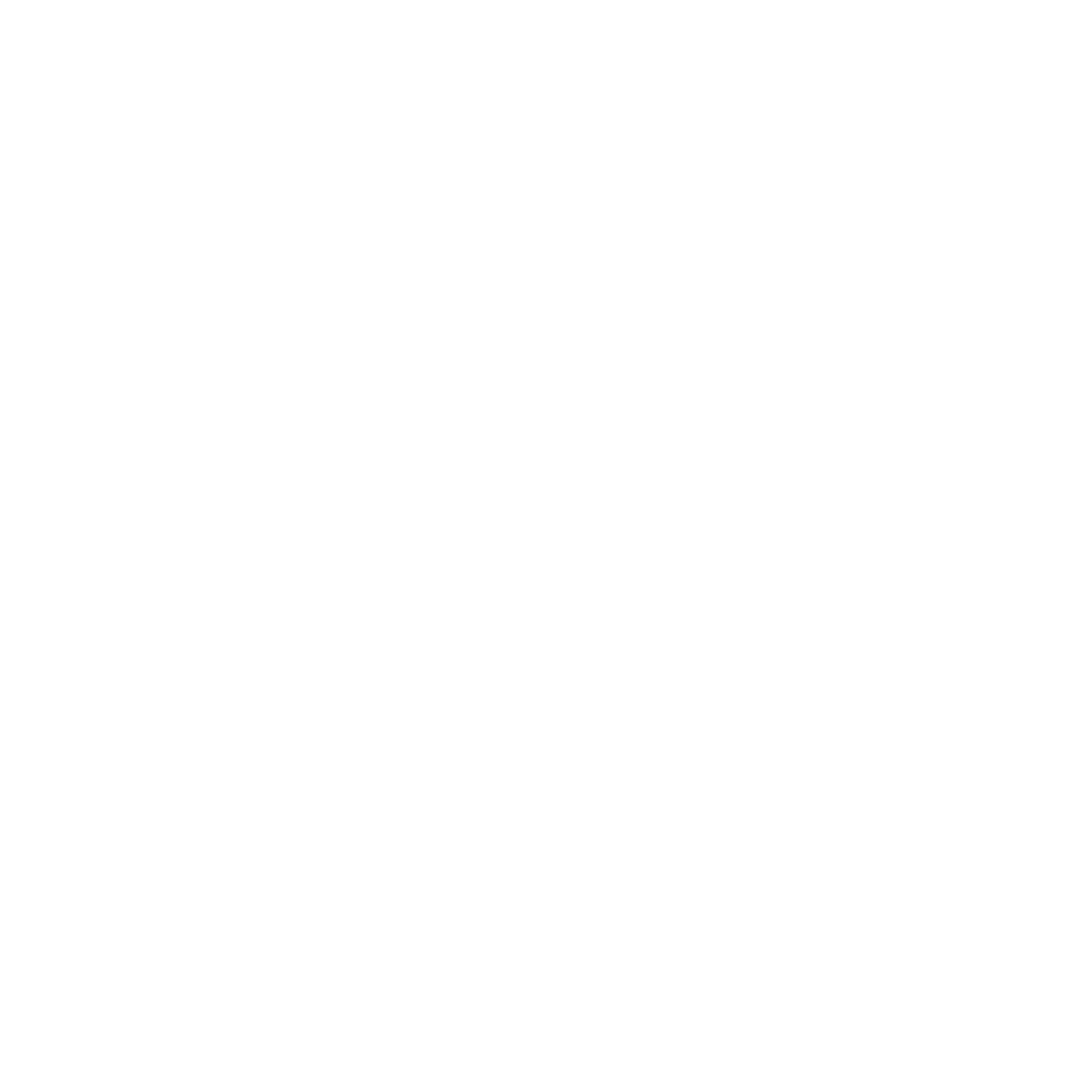 Vitruvian Human
